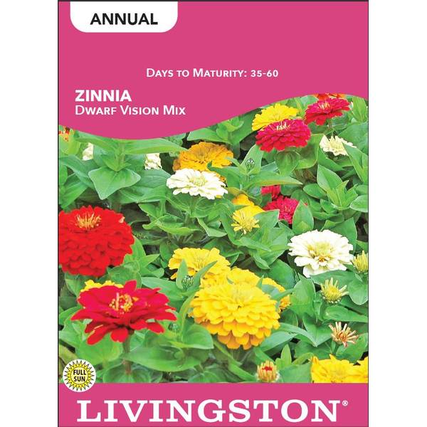 Photo of Vision Mix Zinnia