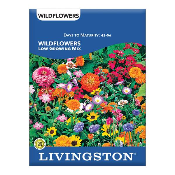 Photo of Low Growing Wildflower Mixture