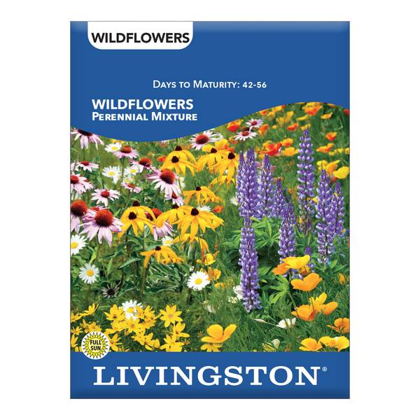 Photo of WILDFLOWER - PERENNIAL MIXTURE