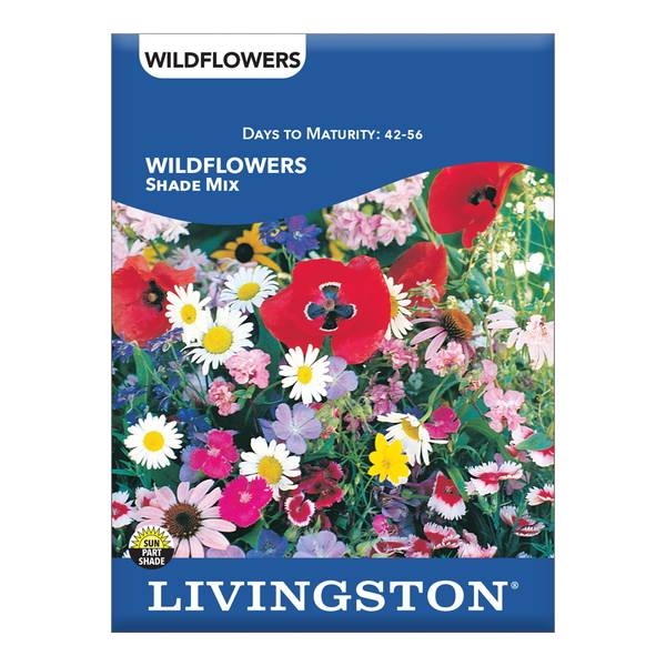 Photo of WILDFLOWER - SHADE MIX