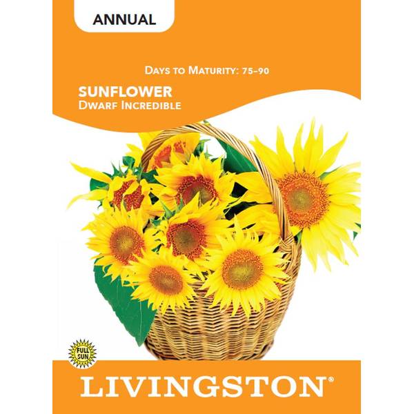 Photo of SUNFLOWER - DWARF INCREDIBLE