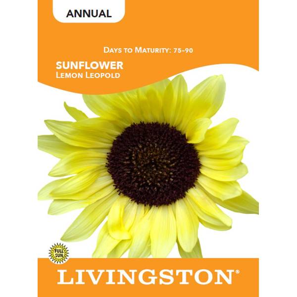 Photo of SUNFLOWER - LEMON LEOPOLD