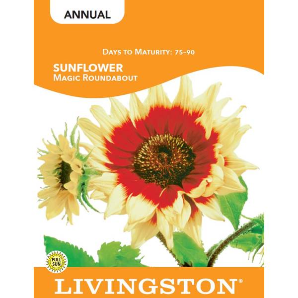 Photo of SUNFLOWER - MAGIC ROUNDABOUT