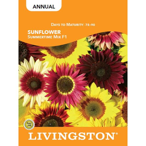 Photo of SUNFLOWER - SUMMERTIME MIX
