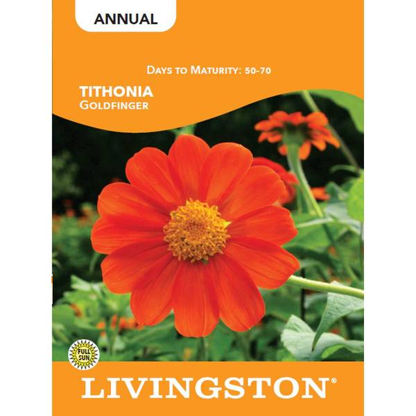 Photo of TITHONIA - GOLDFINGER