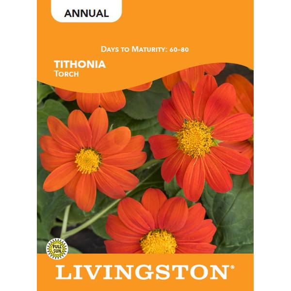 Photo of TITHONIA - TORCH