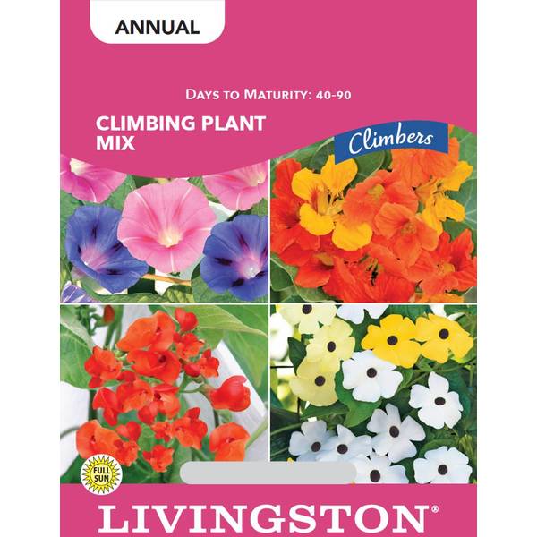 Photo of CLIMBING PLANT MIX