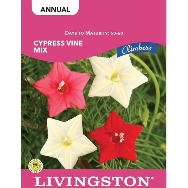 Photo of CYPRESS VINE MIX