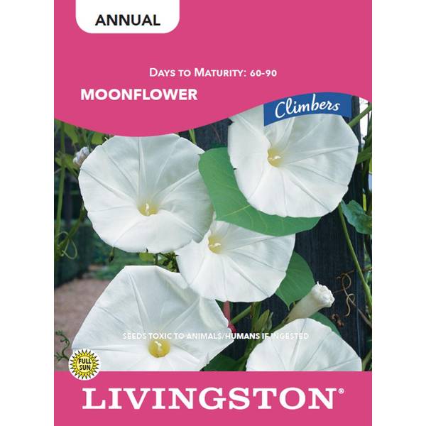 Photo of MOONFLOWER