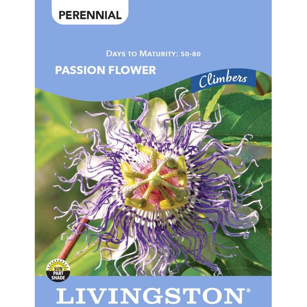 Photo of PASSION FLOWER