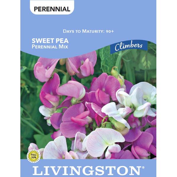 Photo of SWEET PEA - PERENNIAL