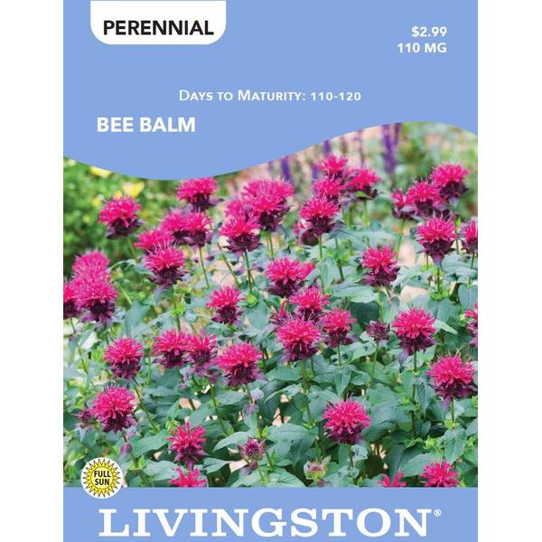Photo of BEE BALM