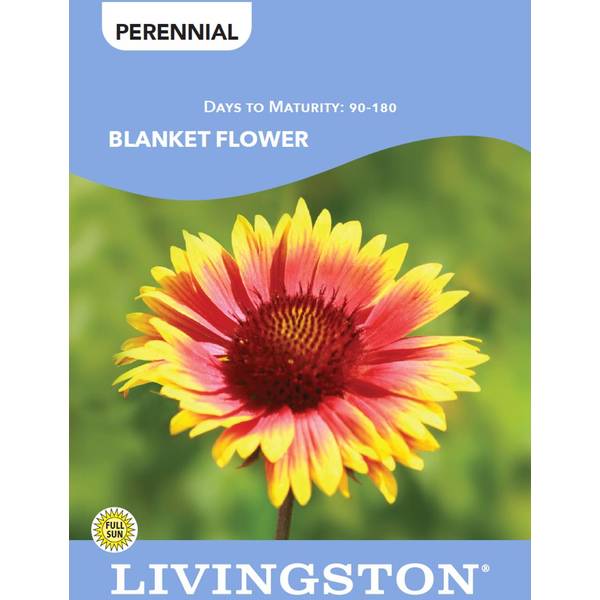 Photo of BLANKET FLOWER