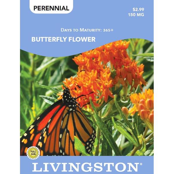Photo of BUTTERFLY FLOWER