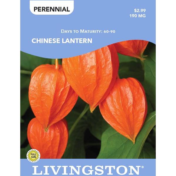 Photo of CHINESE LANTERN
