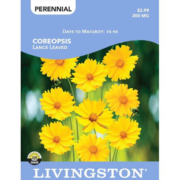 Photo of COREOPSIS - LANCE LEAVED
