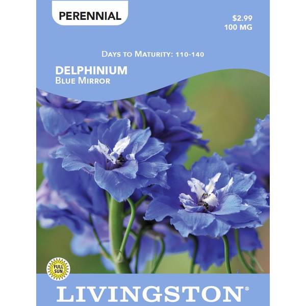 Photo of DELPHINIUM - BLUE MIRROR