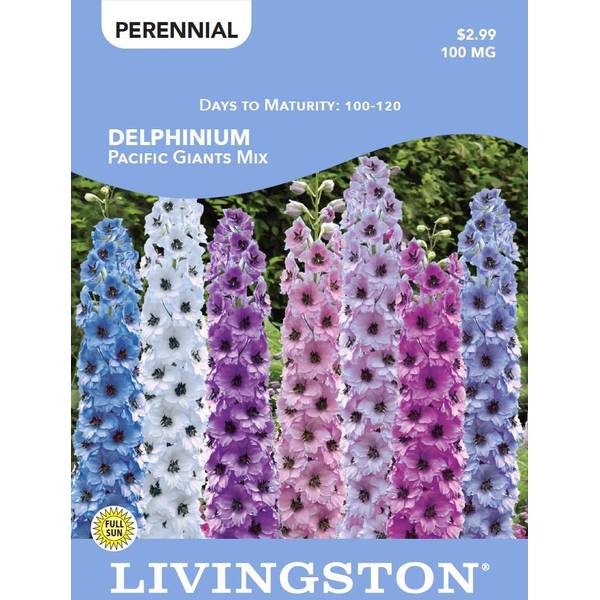 Photo of DELPHINIUM - PACIFIC GIANTS MIX