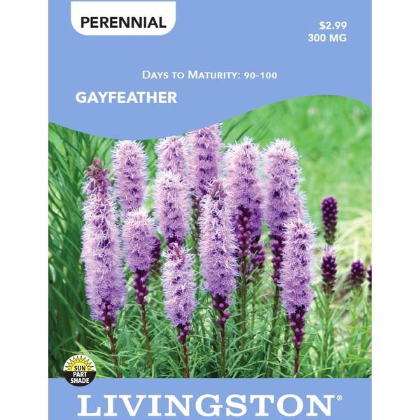 Photo of GAYFEATHER