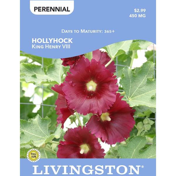 Photo of King Henry VIII Hollyhock