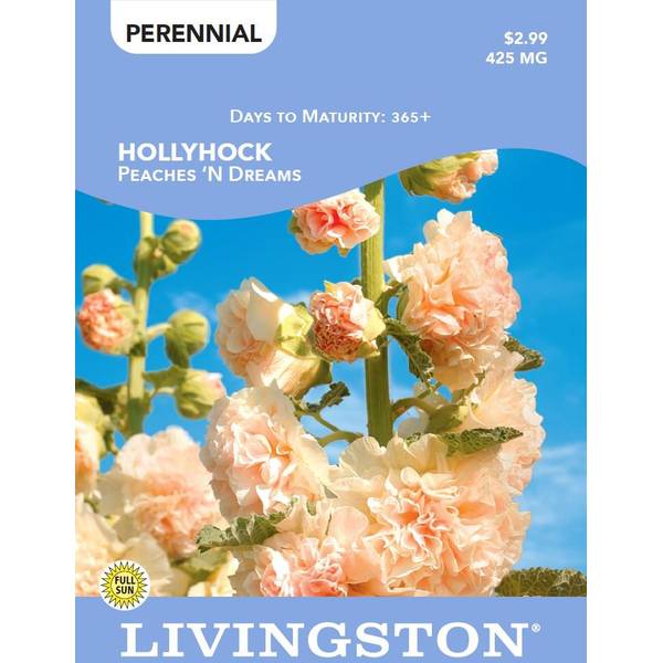 Photo of HOLLYHOCK - PEACHES 'N DREAMS