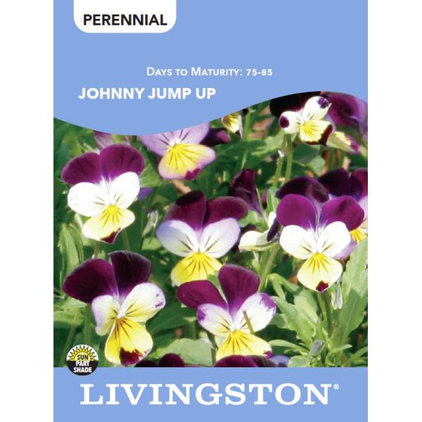 Photo of JOHNNY JUMP UP