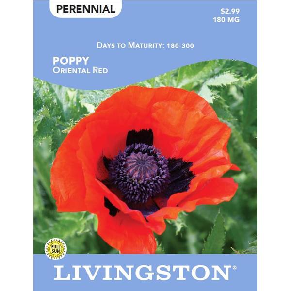 Photo of POPPY - ORIENTAL RED