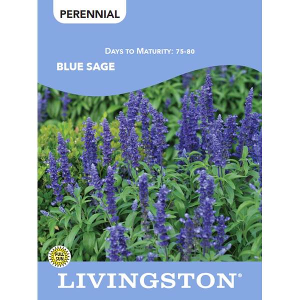 Photo of SAGE - BLUE