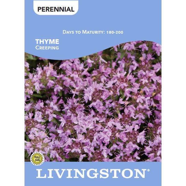 Photo of THYME - CREEPING