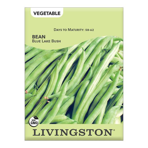 Photo of Blue Lake Bush Green Bean