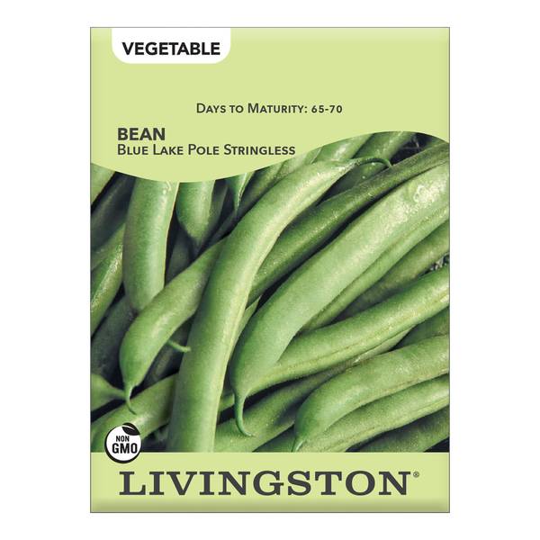 Photo of Blue Lake Pole Green Bean