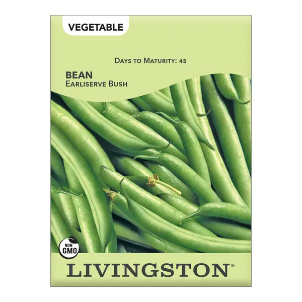 Livingston Seed Earliserve Bush Green Beans - Y4025A | Blain's