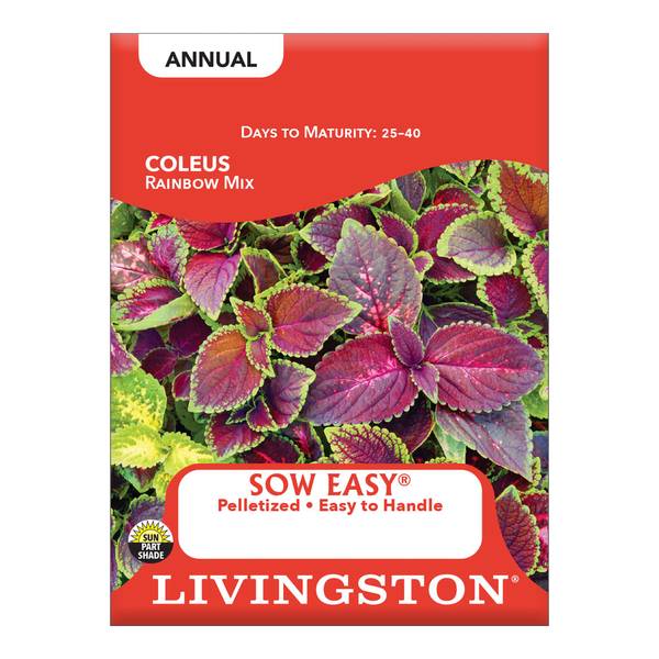 Photo of Rainbow Mix Coleus
