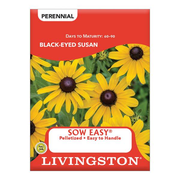 Photo of Black-Eyed Susan
