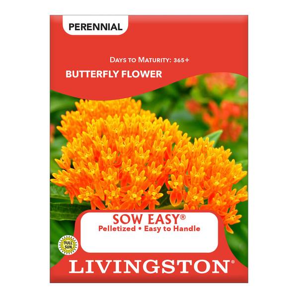Photo of Butterfly Flower