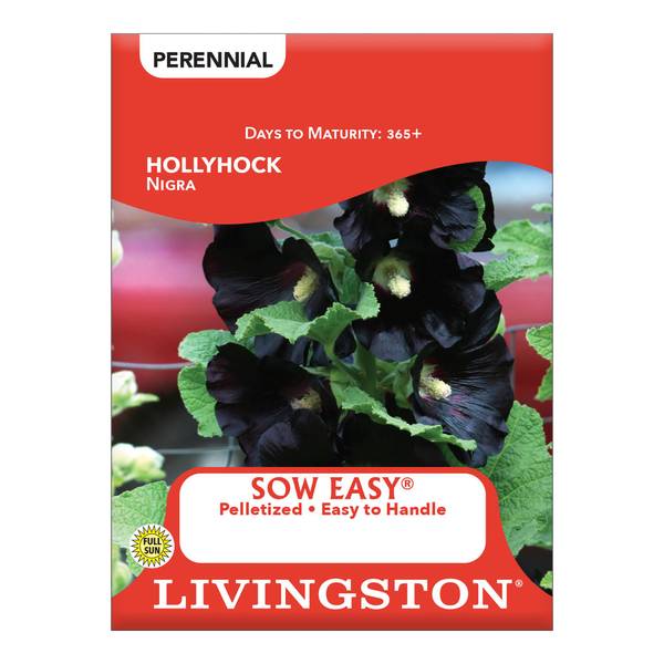Photo of Nigra Hollyhock