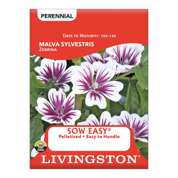 Photo of Malva Sylvestris