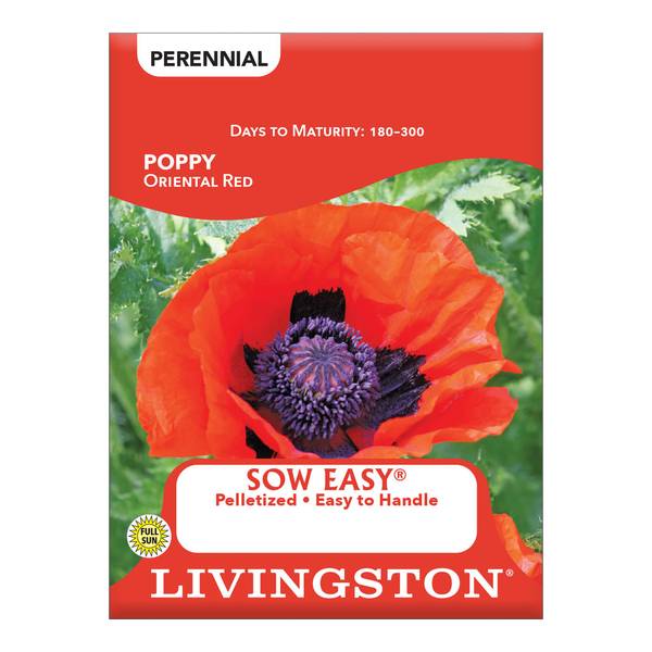 Photo of Oriental Red Poppy
