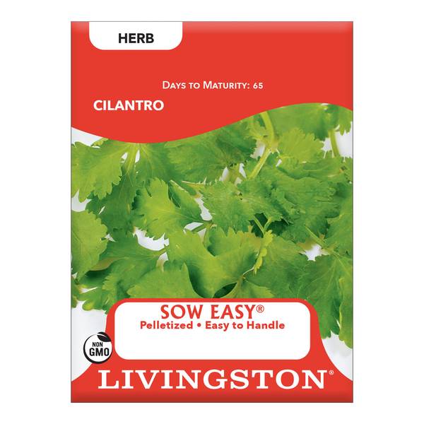 Photo of Cilantro