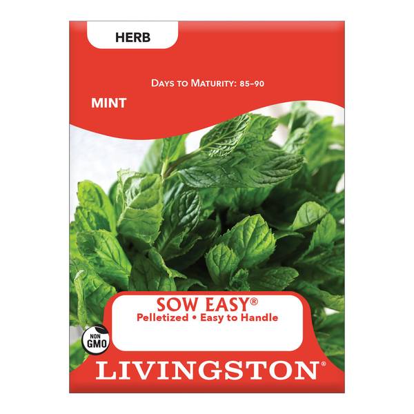 Photo of Mint
