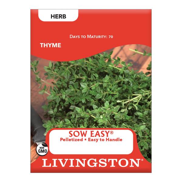 Photo of Thyme