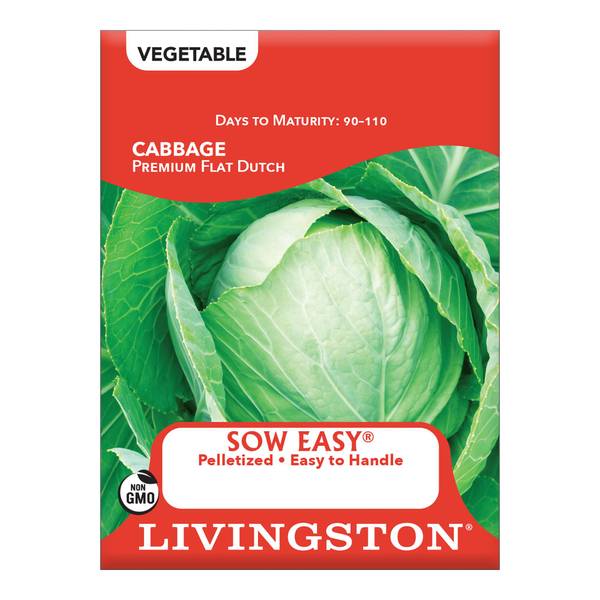 Photo of Premium Flat Late Dutch Cabbage
