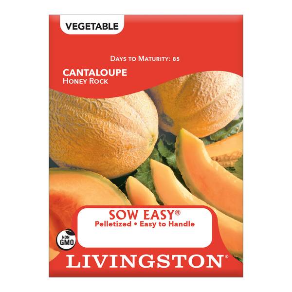 Photo of Honey Rock Cantaloupe