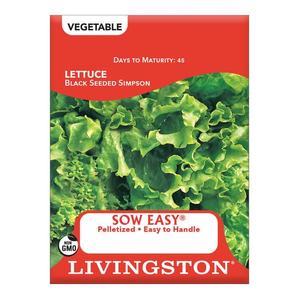 Photo of Black Seeded Simpson Lettuce