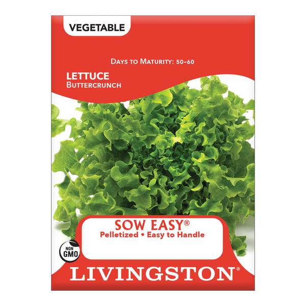 Photo of Buttercrunch Lettuce