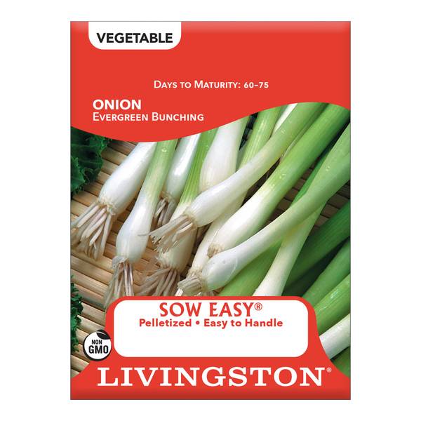 Photo of Evergreen Bunching Onion
