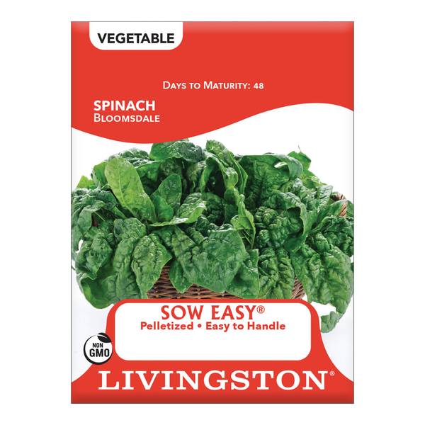 Photo of Bloomsdale Spinach