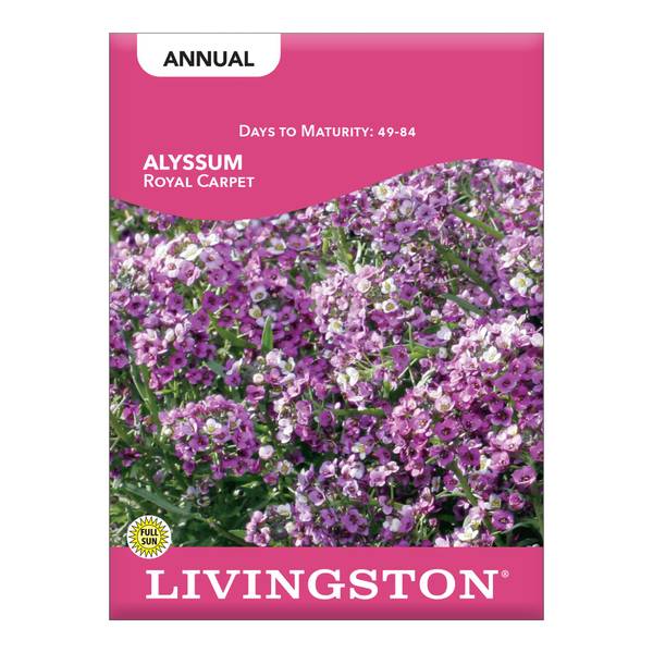 Photo of Royal Carpet Alyssum