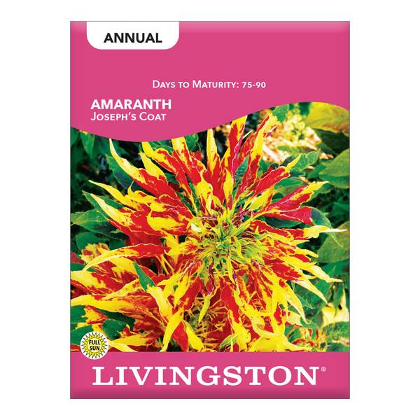 Photo of Joseph's Coat Amaranth