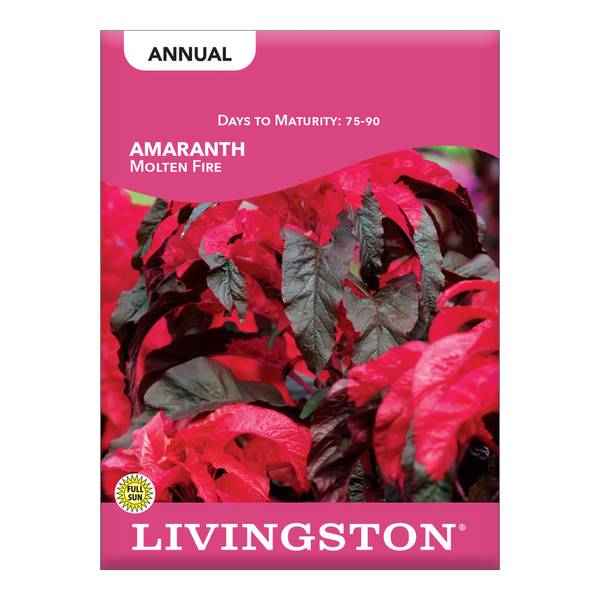 Photo of Molten Fire Amaranth